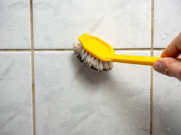 Best Same-Day Mold Removal  in Pendleton, IN