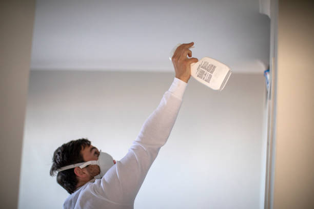 Best Water Damage Restoration  in Pendleton, IN