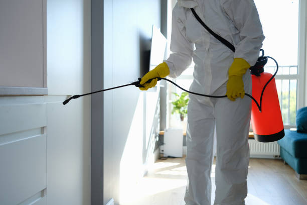 Best Emergency Mold Removal  in Pendleton, IN